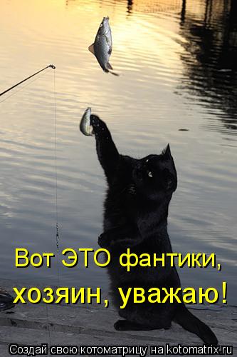 Котоматрица: Вот ЭТО фантики, хозяин, уважаю!