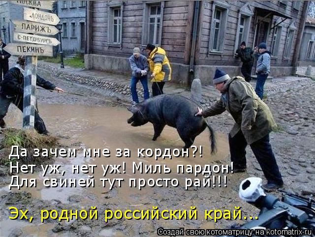 Котоматрица: Да зачем мне за кордон?! Нет уж, нет уж! Миль пардон! Для свиней тут просто рай!!! Эх, родной российский край…..