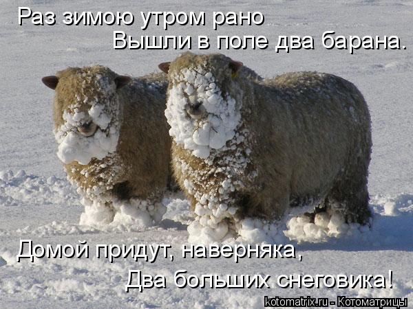 Раз зимою утром рано Вышли в поле два барана. Домой придут, наверняка, Два больших снеговика!... Котоматрица: Раз зимою утром рано Вышли в поле два барана. Домой придут, наверняка, Два больших снеговика!