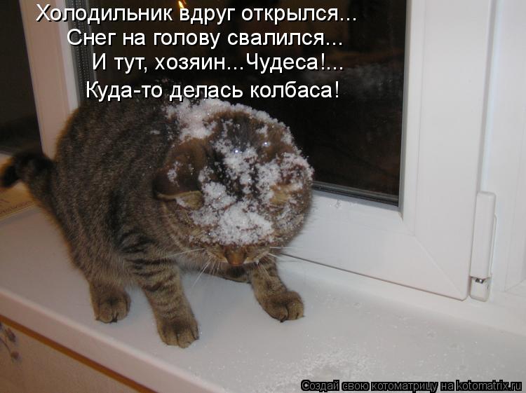 Котоматрица: Холодильник вдруг открылся... Снег на голову свалился... И тут, хозяин...Чудеса!... Куда-то делась колбаса!