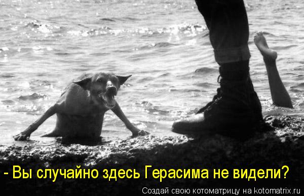 - Вы случайно здесь Герасима не видели?... Котоматрица: - Вы случайно здесь Герасима не видели?