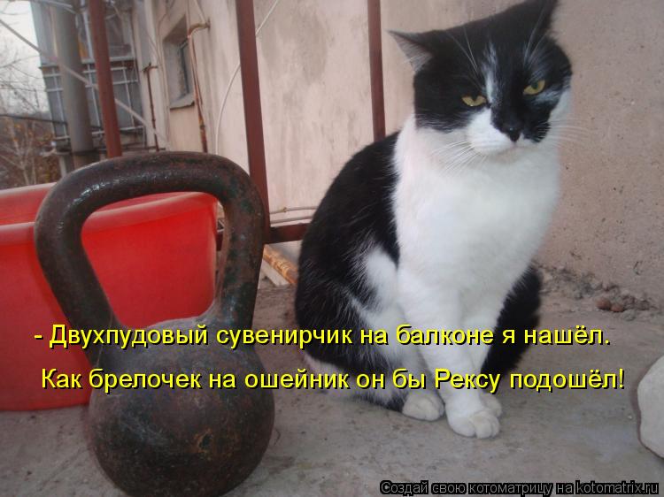 Котоматрица: - Двухпудовый сувенирчик на балконе я нашёл. Как брелочек на ошейник он бы Рексу подошёл!