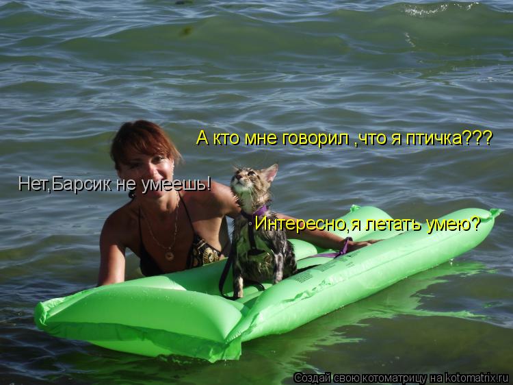 Котоматрица: Интересно,я летать умею? Нет,Барсик не умеешь! А кто мне говорил ,что я птичка???