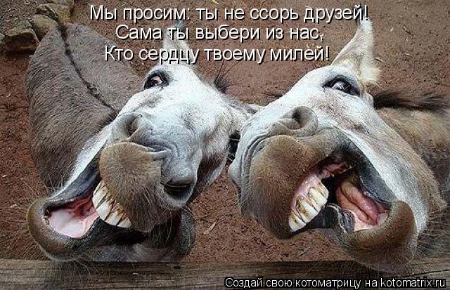 Мы просим: ты не ссорь друзей! Сама ты выбери из нас, Кто сердцу твоему милей!... Котоматрица: Мы просим: ты не ссорь друзей! Сама ты выбери из нас, Кто сердцу твоему милей!