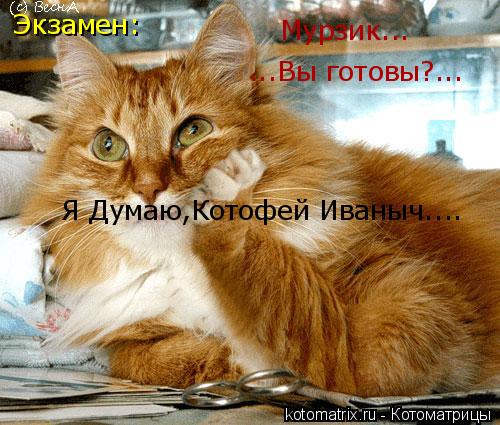 Котоматрица: Экзамен: ...Вы готовы?... Мурзик... Я Думаю,Котофей Иваныч....