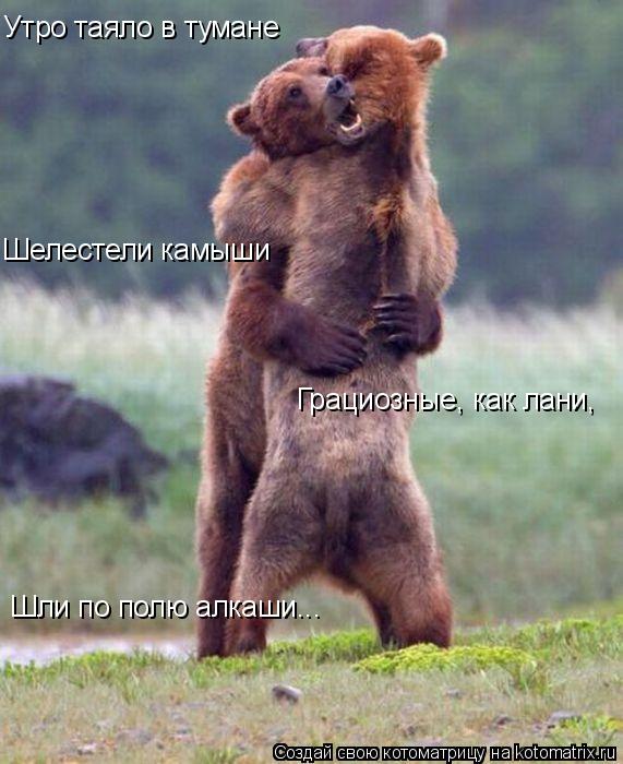 Утро таяло в тумане Шелестели камыши Грациозные, как лани, Шли по полю алкаши...... Котоматрица: Утро таяло в тумане Шелестели камыши Грациозные, как лани, Шли по полю алкаши...