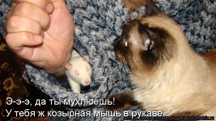 Э-э-э, да ты мухлюешь! У тебя ж козырная мышь в рукаве...... Котоматрица: Э-э-э, да ты мухлюешь! У тебя ж козырная мышь в рукаве...