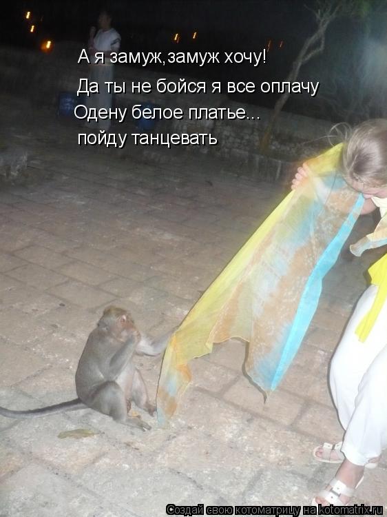 А я замуж,замуж хочу! А я замуж,замуж хочу! Да ты не бойся я все оплачу Одену белое платье... пойду т... Котоматрица: А я замуж,замуж хочу! А я замуж,замуж хочу! Да ты не бойся я все оплачу Одену белое платье... пойду танцевать