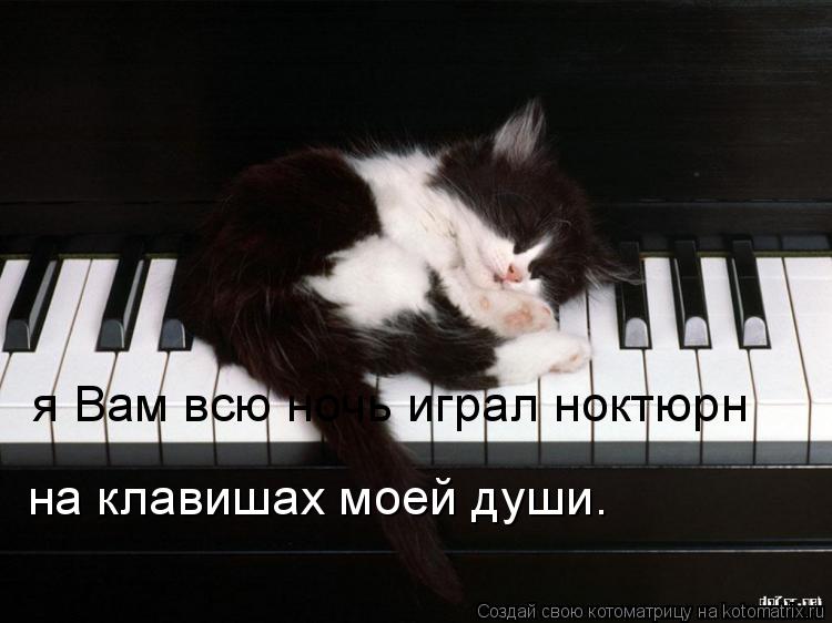 Котоматрица: я Вам всю ночь играл ноктюрн на клавишах моей души.