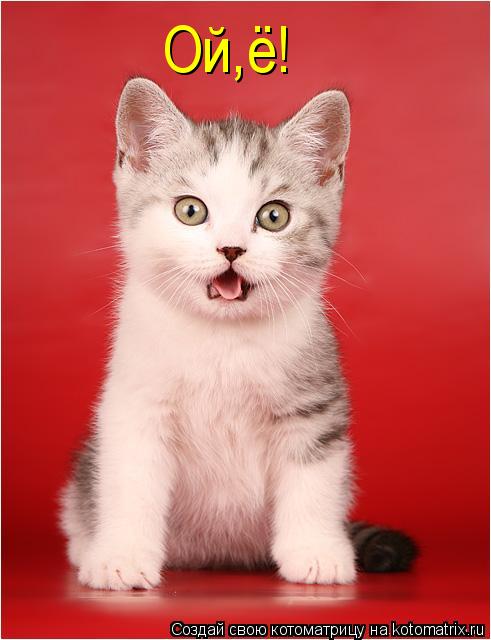 Котоматрица: Ой,ё!