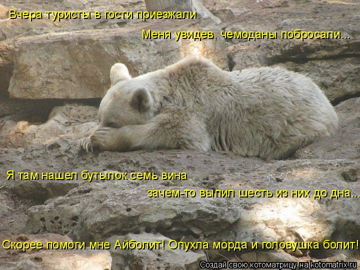 Вчера туристы в гости приезжали Меня увидев, чемоданы побросали... зачем-то выпил шесть из них до дна... Котоматрица: Вчера туристы в гости приезжали Меня увидев, чемоданы побросали... зачем-то выпил шесть из них до дна... Я там нашел бутылок семь вина Скорее п