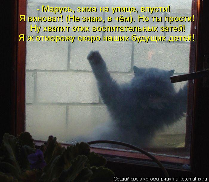 Котоматрица: - Марусь, зима на улице, впусти! Я виноват! (Не знаю, в чём). Но ты прости! Ну хватит этих воспитательных затей! Я ж отморожу скоро наших будущих 