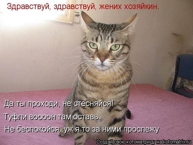 Здравствуй, здравствуй, жених хозяйкин. Не беспокойся, уж я то за ними прослежу Туфли воооон там оста... Котоматрица: Здравствуй, здравствуй, жених хозяйкин. Не беспокойся, уж я то за ними прослежу Туфли воооон там оставь. Да ты проходи, не стесняйся!