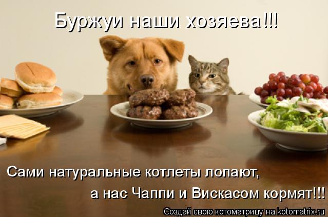 Буржуи наши хозяева!!! Сами натуральные котлеты лопают, а нас Чаппи и Вискасом кормят!!!... Котоматрица: Буржуи наши хозяева!!! Сами натуральные котлеты лопают, а нас Чаппи и Вискасом кормят!!!