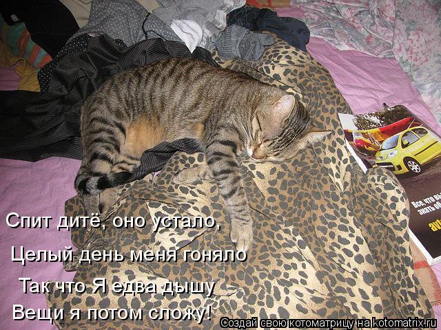 Спит дитё, оно устало, Так что Я едва дышу Целый день меня гоняло Вещи я потом сложу!... Котоматрица: Спит дитё, оно устало, Так что Я едва дышу Целый день меня гоняло Вещи я потом сложу!