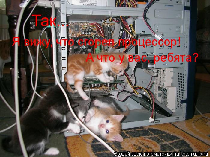 Так... Я вижу, что сгорел процессор! А что у вас, ребята?... Котоматрица: Так... Я вижу, что сгорел процессор! А что у вас, ребята?