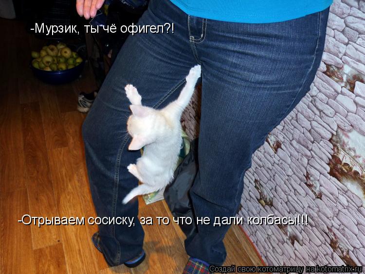 -Мурзик, ты чё офигел?! -Отрываем сосиску, за то что не дали колбасы!!!... Котоматрица: -Мурзик, ты чё офигел?! -Отрываем сосиску, за то что не дали колбасы!!!