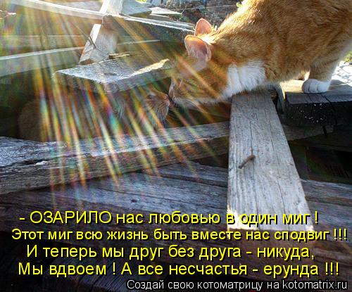 - ОЗАРИЛО нас любовью в один миг ! Этот миг всю жизнь быть вместе нас сподвиг !!! И теперь мы друг бе... Котоматрица: - ОЗАРИЛО нас любовью в один миг ! Этот миг всю жизнь быть вместе нас сподвиг !!! И теперь мы друг без друга - никуда, Мы вдвоем ! А все несчастья