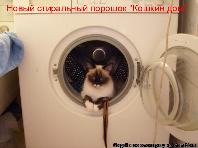 Котоматрица: Новый стиральный порошок "Кошкин дом".