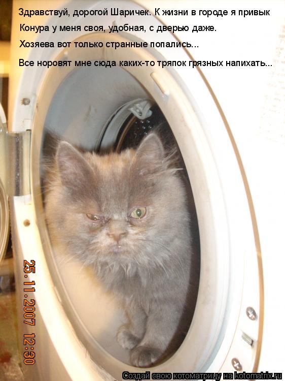 Здравствуй, дорогой Шаричек. К жизни в городе я привык Конура у меня своя, удобная, с дверью даже. Х... Котоматрица: Здравствуй, дорогой Шаричек. К жизни в городе я привык Конура у меня своя, удобная, с дверью даже. Хозяева вот только странные попались... Вс