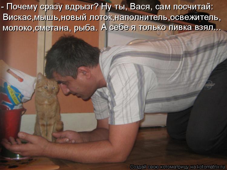 Котоматрица: Вискас,мышь,новый лоток,наполнитель,освежитель, молоко,сметана, рыба. А себе я только пивка взял... - Почему сразу вдрызг? Ну ты, Вася, сам посч