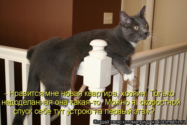 Котоматрица: - Нравится мне новая квартира, хозяин. Только  недоделанная она какая-то. Можно я  скоростной  спуск себе тут устрою на первый этаж?