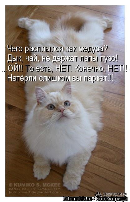 Котоматрица: Чего расплылся как медуза? Дык, чай, не держат лапы пузо! ...ОЙ!! То есть, НЕТ! Конечно, НЕТ!! - Натёрли слишком вы паркет!!!