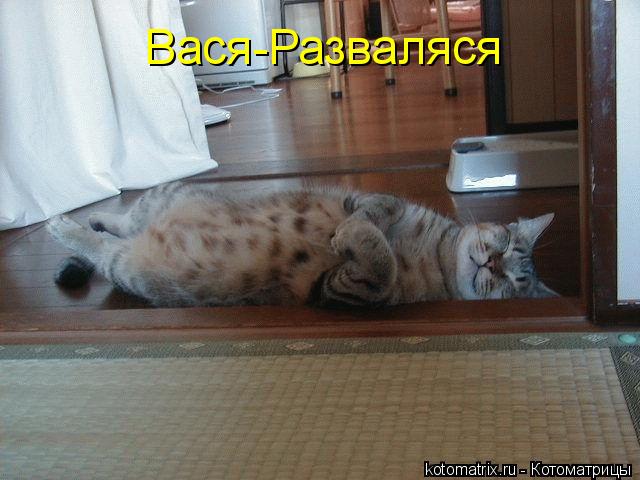 Вася-Разваляся... Котоматрица: Вася-Разваляся