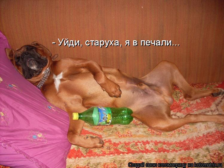 Меня старушка я в печали стих Меня старушка я в печали стих