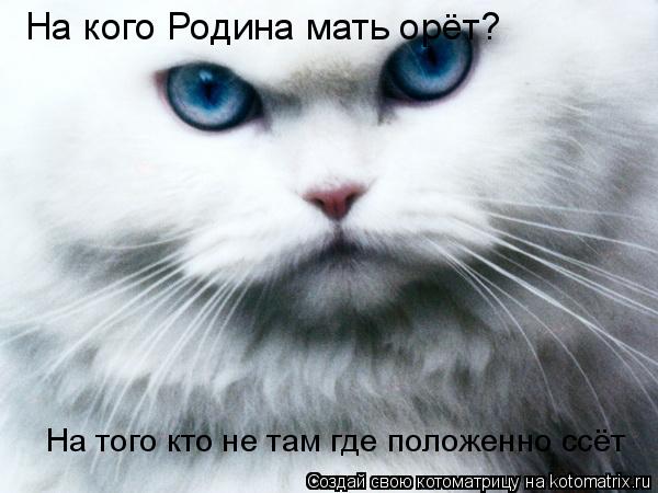 На кого Родина мать орёт? На того кто не там где положенно ссёт... Котоматрица: На кого Родина мать орёт? На того кто не там где положенно ссёт