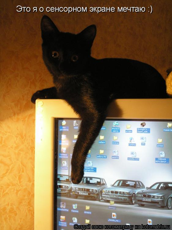 Это я о сенсорном экране мечтаю :)... Котоматрица: Это я о сенсорном экране мечтаю :)