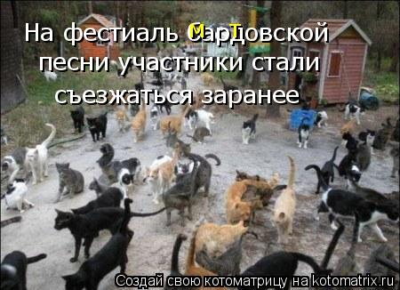 Котоматрица: На фестиаль бардовской песни участники стали съезжаться заранее м   т