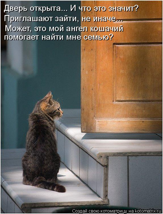 Может, это мой ангел кошачий Дверь открыта... И что это значит? Приглашают зайти, не иначе... помогае... Котоматрица: Может, это мой ангел кошачий Дверь открыта... И что это значит? Приглашают зайти, не иначе... помогает найти мне семью?