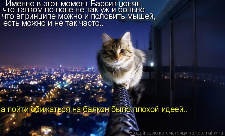 Именно в этот момент Барсик понял, что тапком по попе не так уж и больно что впринципе можно и полови... Котоматрица: Именно в этот момент Барсик понял, что тапком по попе не так уж и больно что впринципе можно и половить мышей, есть можно и не так часто... а по