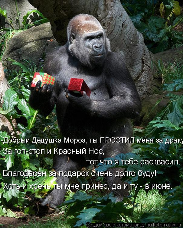 Котоматрица: -Добрый Дедушка Мороз, ты ПРОСТИЛ меня за драку,  тот что я тебе расквасил. Благодарен за подарок очень долго буду! За гоп-стоп и Красный Нос, 