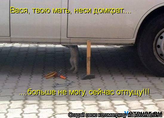 Вася, твою мать, неси домкрат.... ....больше не могу, сейчас отпущу!!!... Котоматрица: Вася, твою мать, неси домкрат.... ....больше не могу, сейчас отпущу!!!
