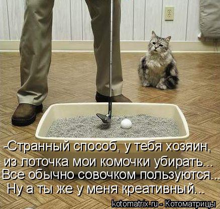 Котоматрица: -Странный способ, у тебя хозяин,  из лоточка мои комочки убирать... Все обычно совочком пользуются... Ну а ты же у меня креативный...