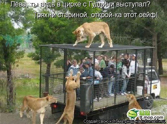 Котоматрица: Лёва, ты ведь в цирке с Гуддини выступал? Тряхни стариной, открой-ка этот сейф!