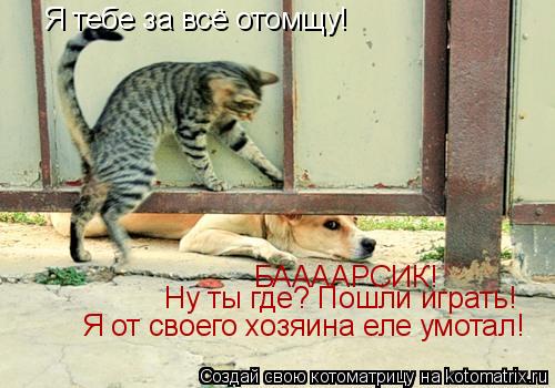 Стрижка лунный день лучше Стрижка лунный день лучше