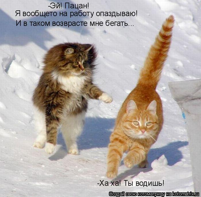 -Ха ха! Ты водишь! -Эй! Пацан! Я вообщето на работу опаздываю! И в таком возврасте мне бегать...... Котоматрица: -Ха ха! Ты водишь! -Эй! Пацан! Я вообщето на работу опаздываю! И в таком возврасте мне бегать...