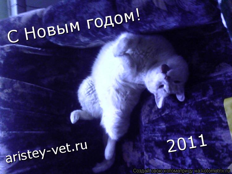 С Новым годом! 2011 aristey-vet.ru... Котоматрица: С Новым годом! 2011 aristey-vet.ru