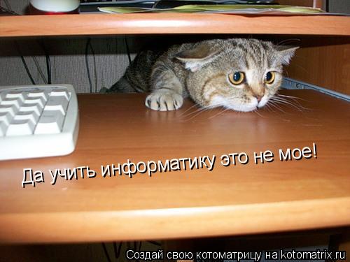 Котоматрица: Да учить информатику это не мое!