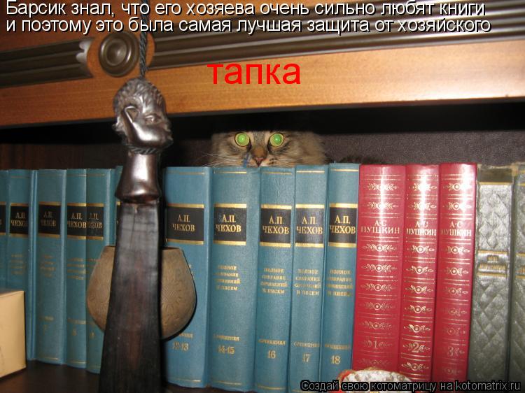 Барсик знал, что его хозяева очень сильно любят книги и поэтому это была самая лучшая защита от хозяй... Котоматрица: Барсик знал, что его хозяева очень сильно любят книги и поэтому это была самая лучшая защита от хозяйского тапка