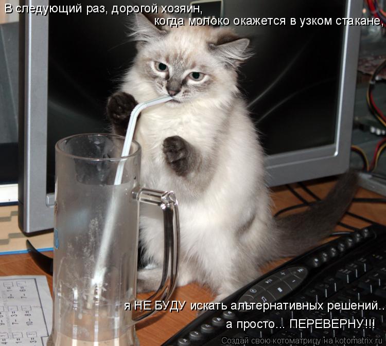Котоматрица: В следующий раз, дорогой хозяин,  когда молоко окажется в узком стакане, я НЕ БУДУ искать альтернативных решений... а просто... ПЕРЕВЕРНУ!!!