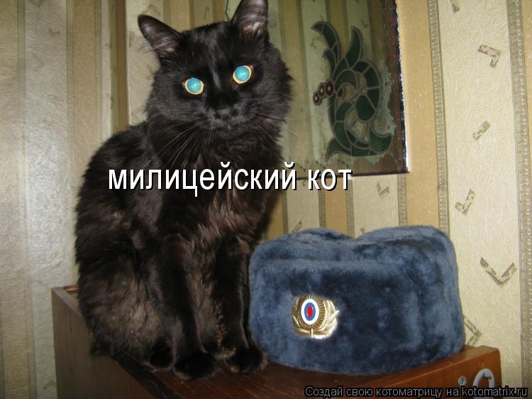 Котоматрица: милицейский кот