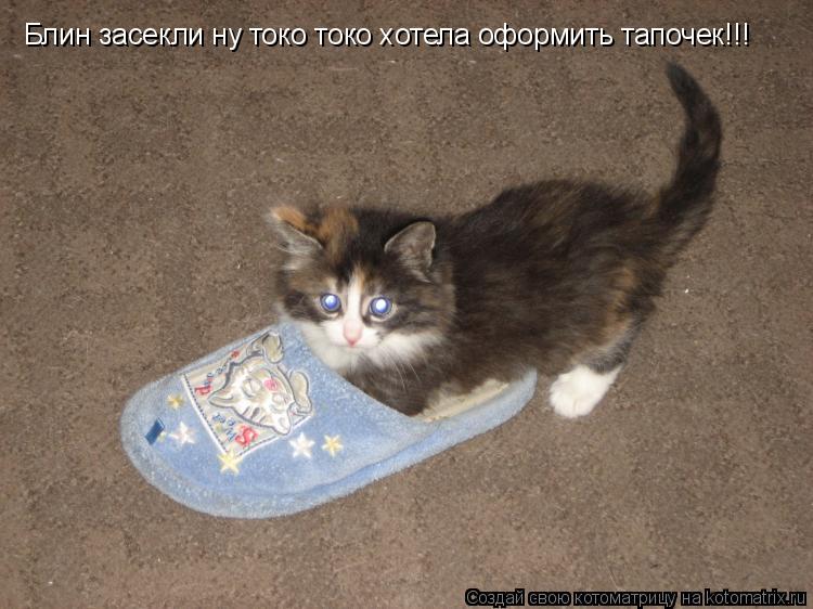Блин засекли ну токо токо хотела оформить тапочек!!!... Котоматрица: Блин засекли ну токо токо хотела оформить тапочек!!!