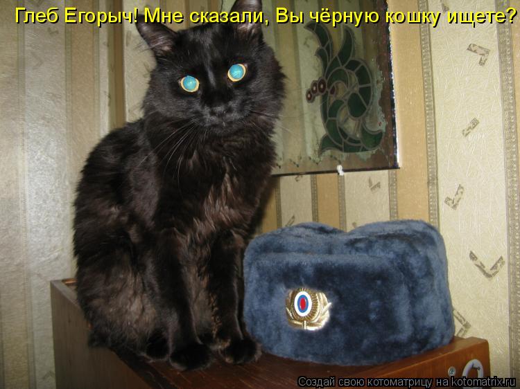 Котоматрица: Глеб Егорыч! Мне сказали, Вы чёрную кошку ищете?