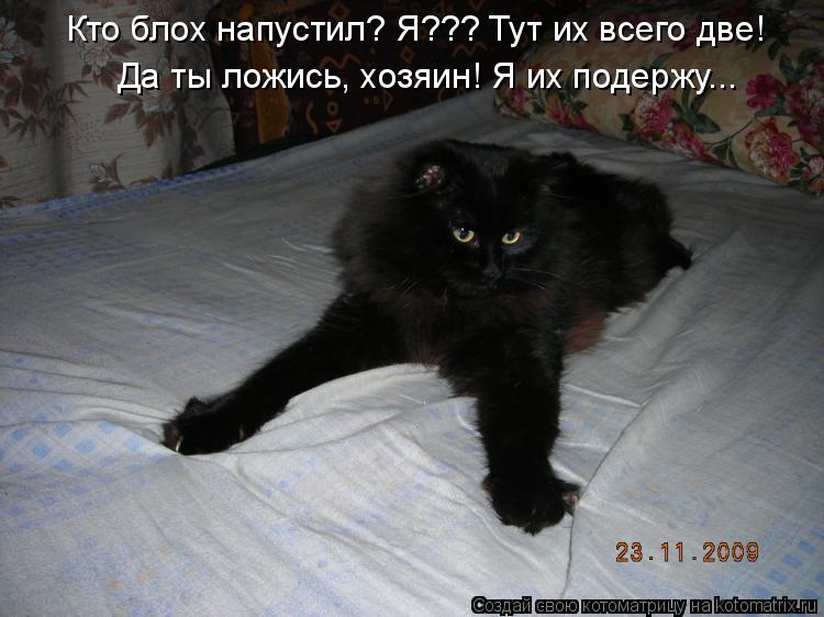 Кто блох напустил? Я??? Тут их всего две! Да ты ложись, хозяин! Я их подержу...... Котоматрица: Кто блох напустил? Я??? Тут их всего две! Да ты ложись, хозяин! Я их подержу...