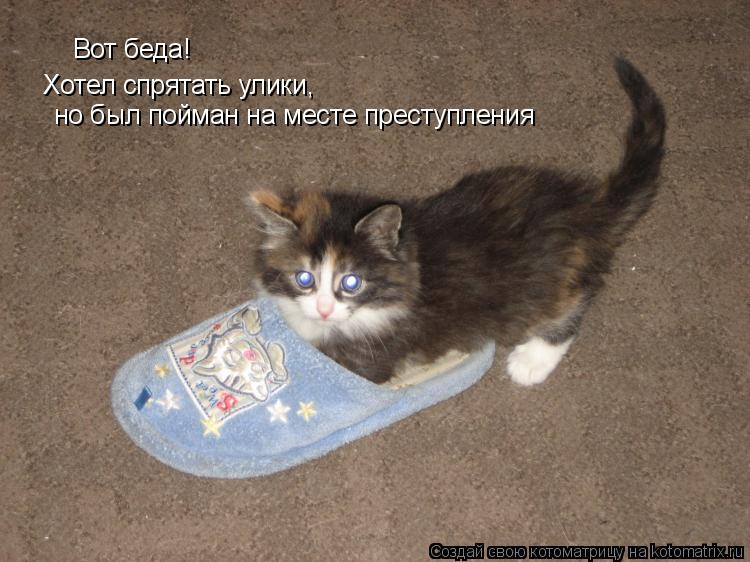 Вот беда! Хотел спрятать улики, но был пойман на месте преступления... Котоматрица: Вот беда! Хотел спрятать улики, но был пойман на месте преступления