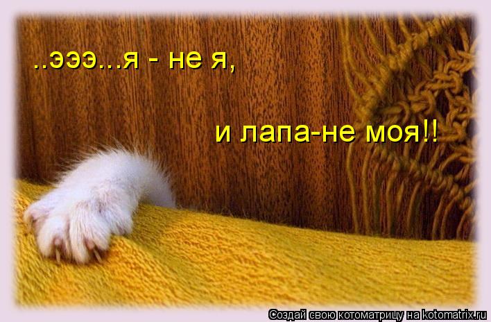 ..эээ...я - не я, и лапа-не моя!!... Котоматрица: ..эээ...я - не я, и лапа-не моя!!
